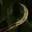 Gypsy Spearhook
