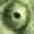 Chameleon Eye