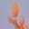Flame Hand