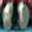 Poison Glands