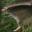 Squirrel Wing