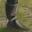 Old Wet Boot