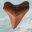 Tooth of Stone