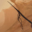Fishing Spear