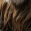 King's Mane