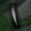 Moray's Tooth