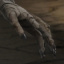 Severed Hand