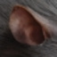 Mommy Ear