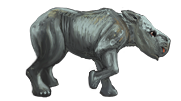 Rhino