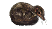 Weasel Cuddlebug }I{