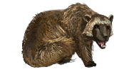 Honey Badger }V{