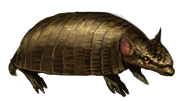 Armored Companion }II{