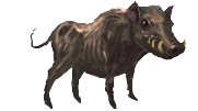 War Hog }II{