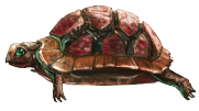 Timmy the Turtle }I{