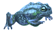 Toad of Intransigence }I{