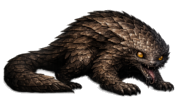 Pangolin }II{
