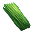 Sappling Plank