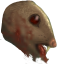 Diseased Rat Head