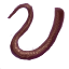 Long Mouse Tail