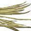 Slimy Rat Whiskers