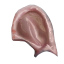Blood Filled Earsack