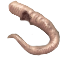 Plague Rat Tail