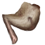 Moldy Rat Leg