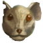 Large Rat Head
