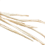 White Rat Whiskers