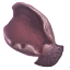 Shriveled Rat Ear