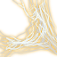 Imperial Spider Silk