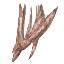 Meaty Leg Sinew
