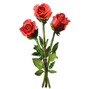 Bouquet of Roses