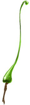 Amoeba Whip