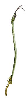 Forked Tongue Whip